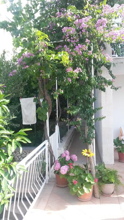 Apartments Dragan Трогир Экстерьер фото